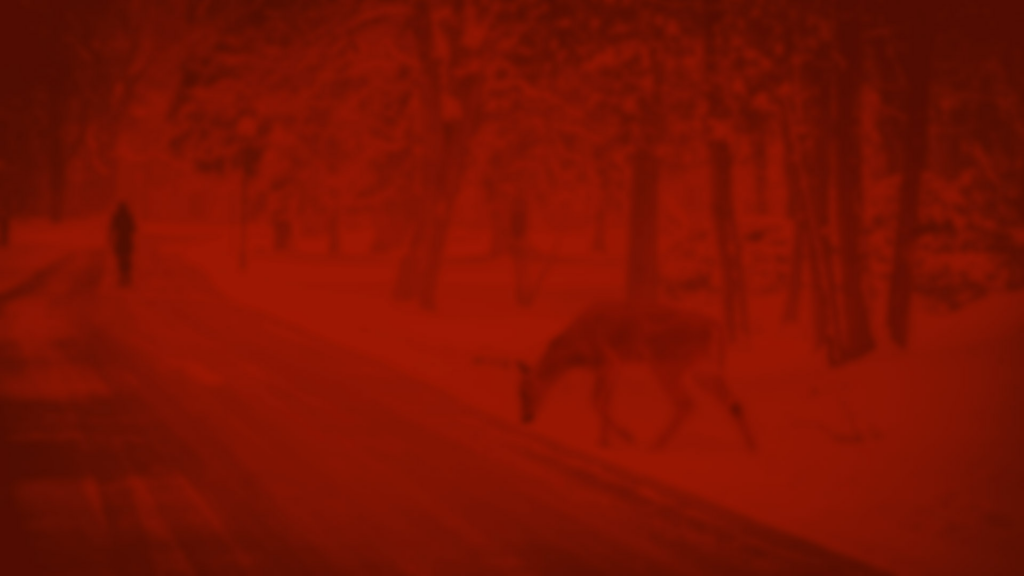 Deer crossing snowy road with distant walker